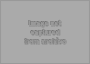 Image not captured from archive